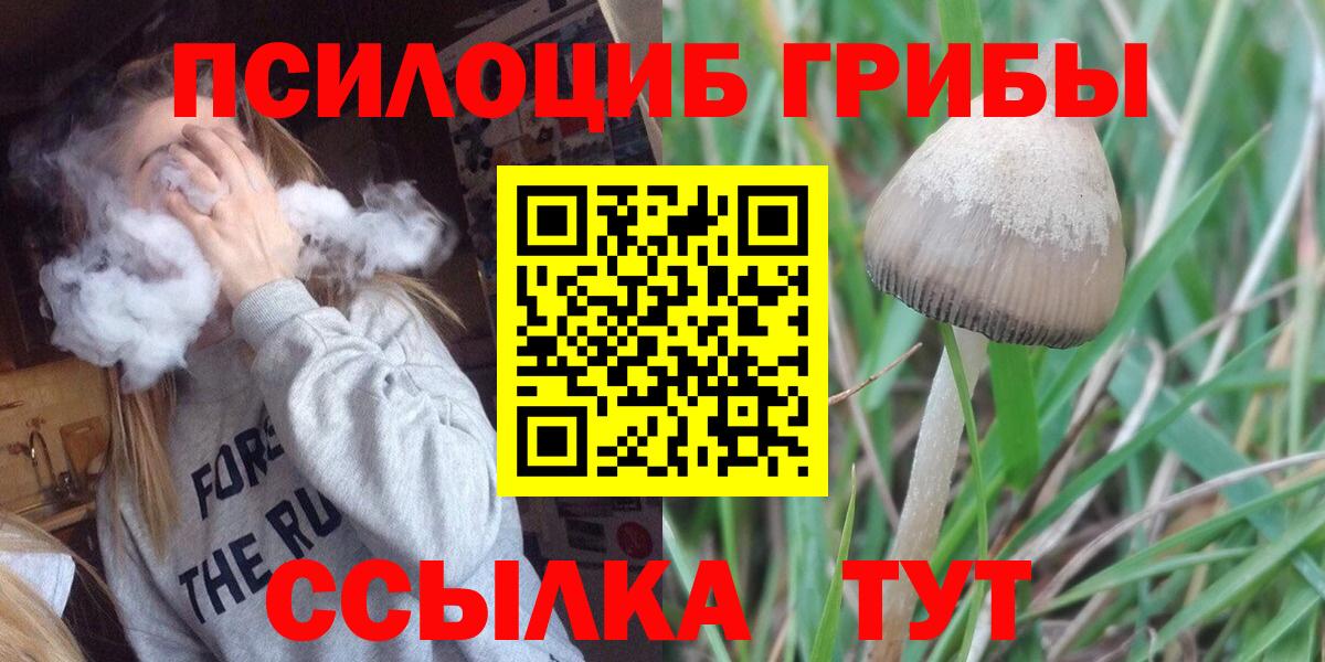 Псилоцибиновые грибы GOLDEN TEACHER Ртищево